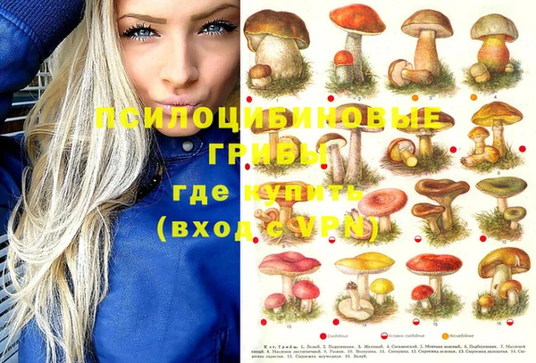 a pvp Алексин