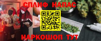 амф Кингисепп