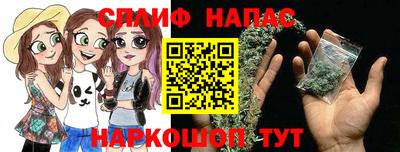 амф Кингисепп