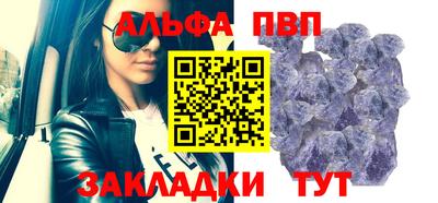 амф Кингисепп