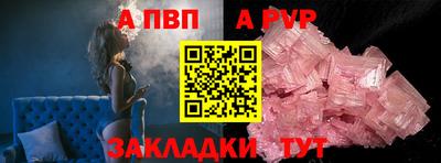 амф Кингисепп