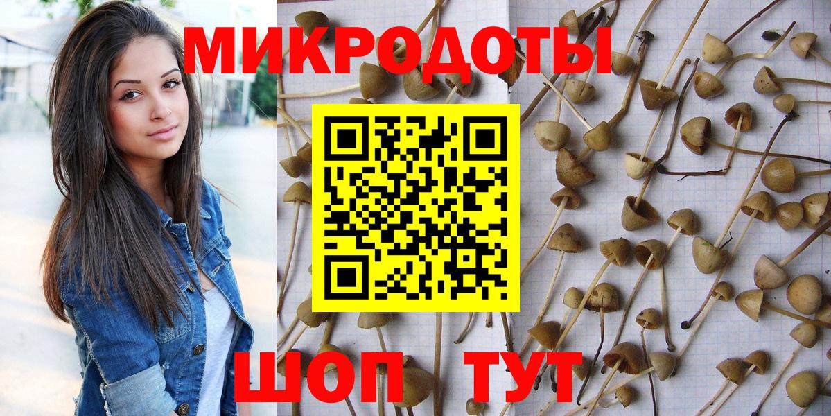 Галлюциногенные грибы Psilocybe  Вход с VPN  Урай 